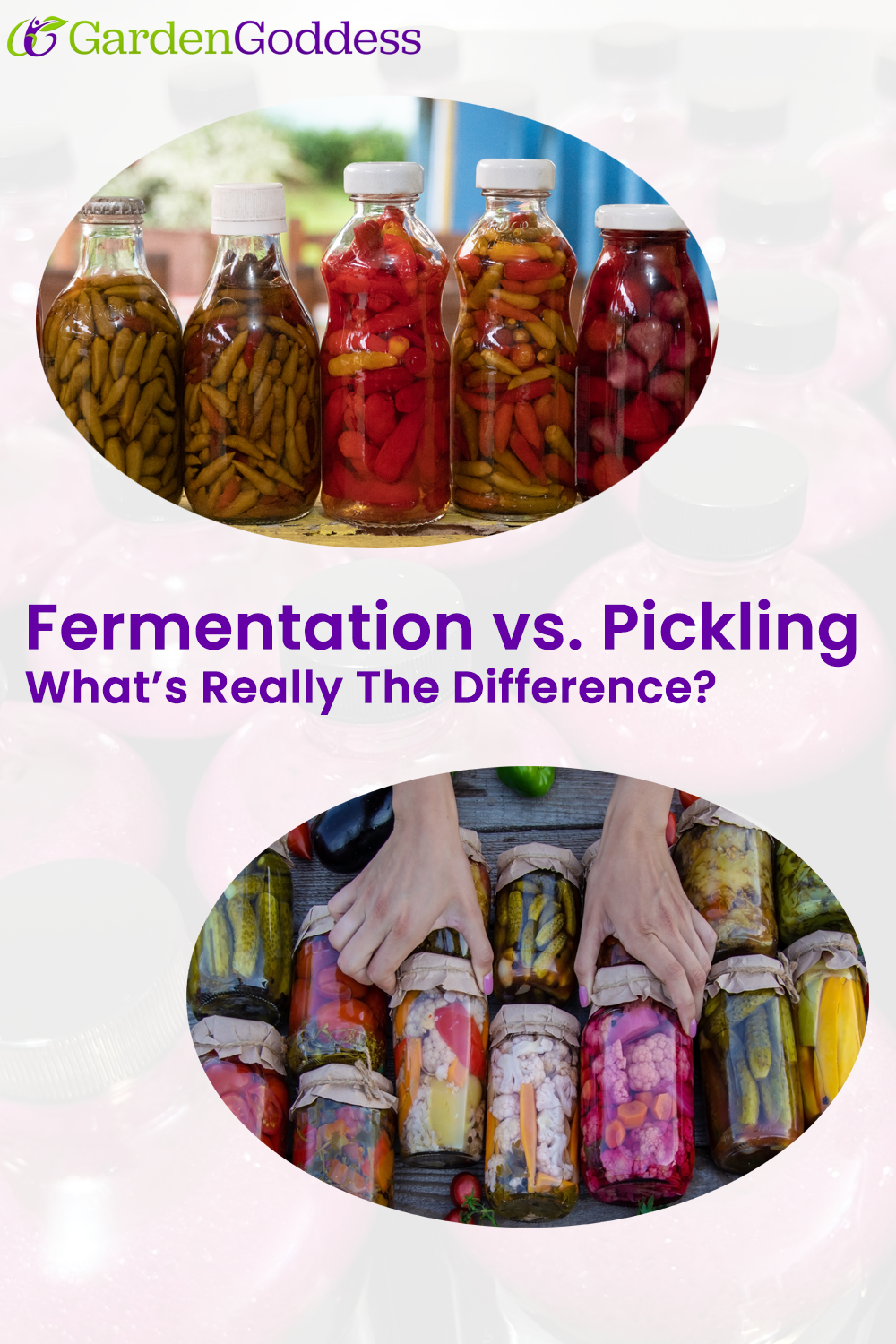Fermentation vs. Pickling: What's the Real Difference?