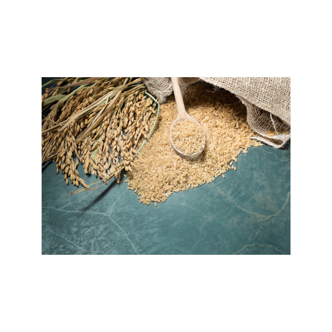 Organic brown rice ready for fermenting.