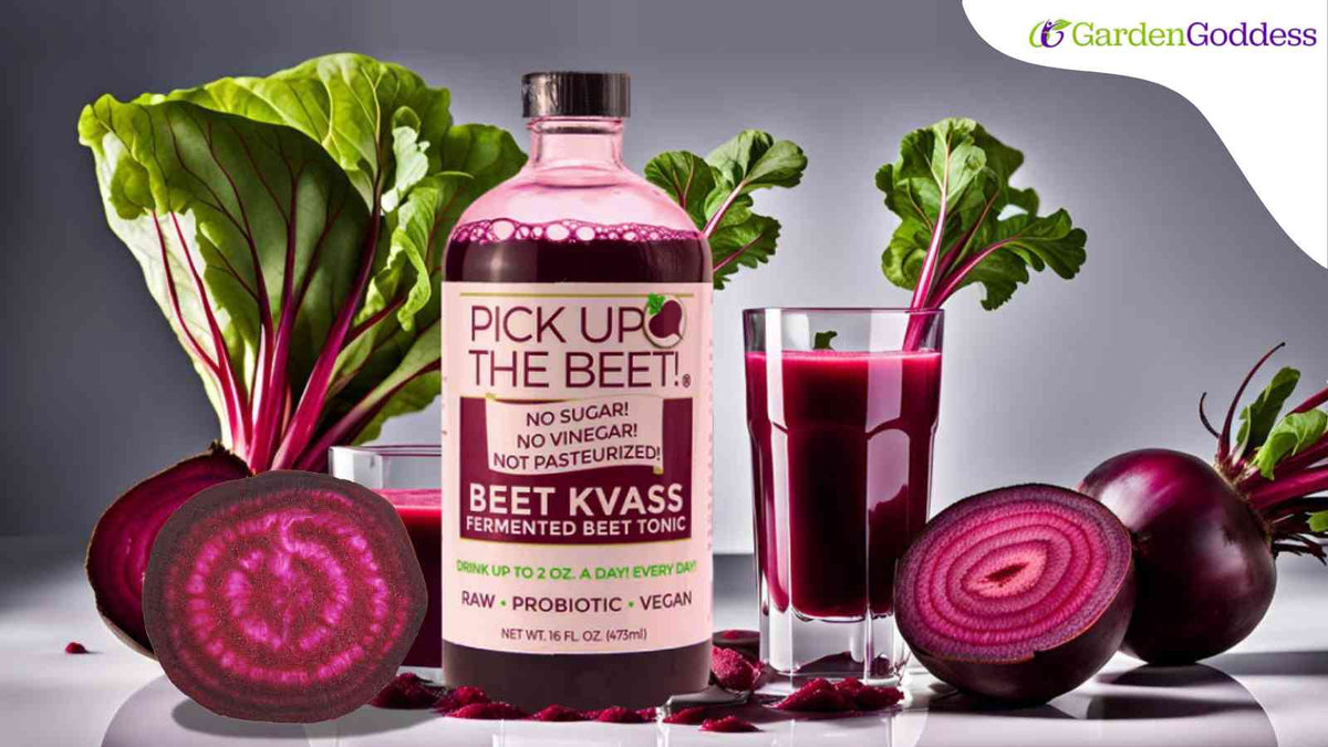 How Beet Kvass Enhances Health Naturally Garden Goddess