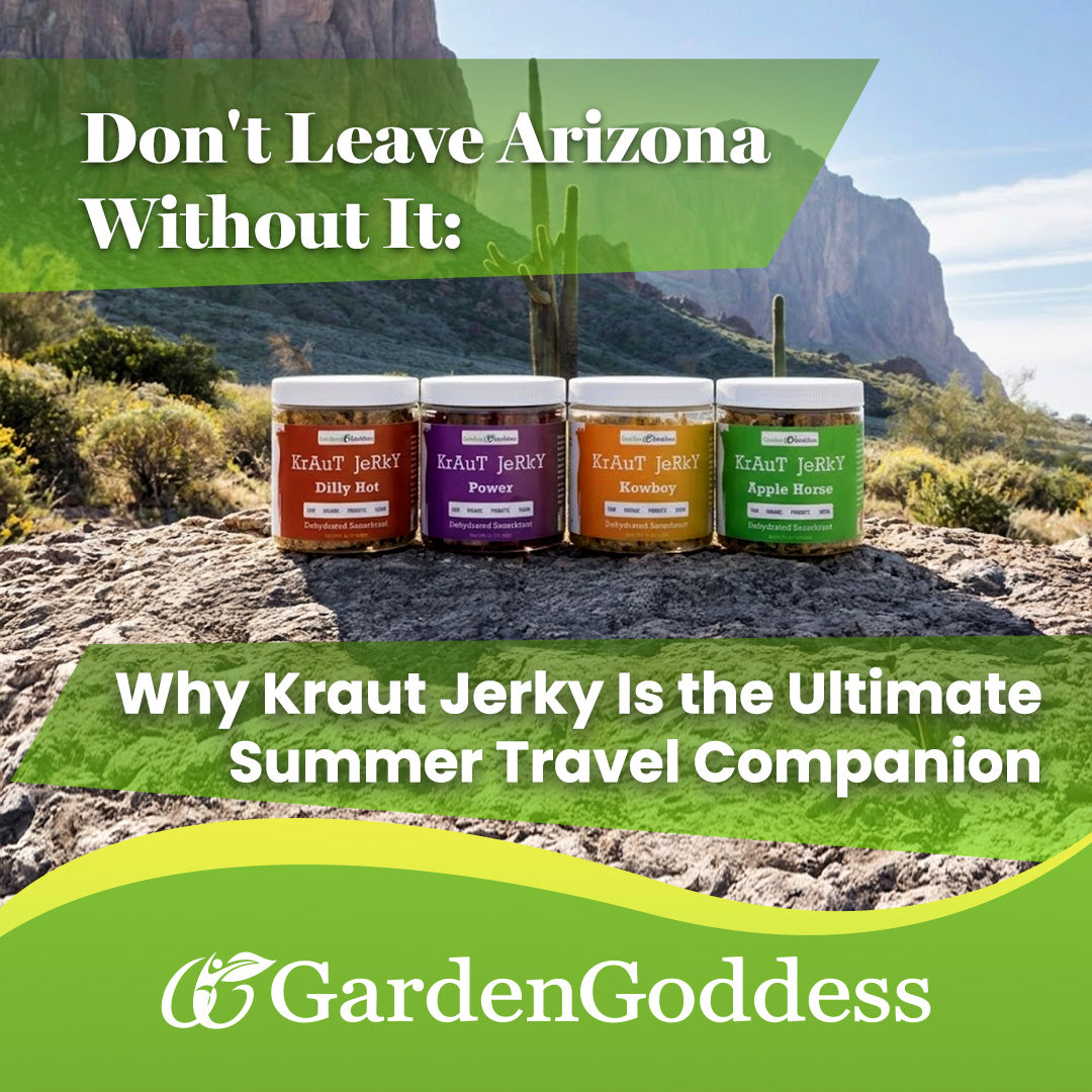 How To Keep Your Gut Healthy When Traveling:  Why Kraut Jerky Is the Ultimate Summer Travel Companion