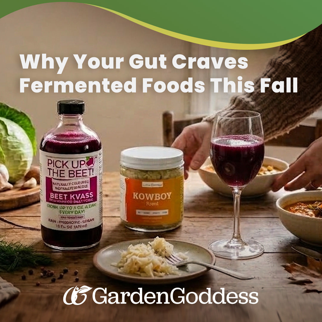 Why Your Gut Craves Fermented Foods This Fall