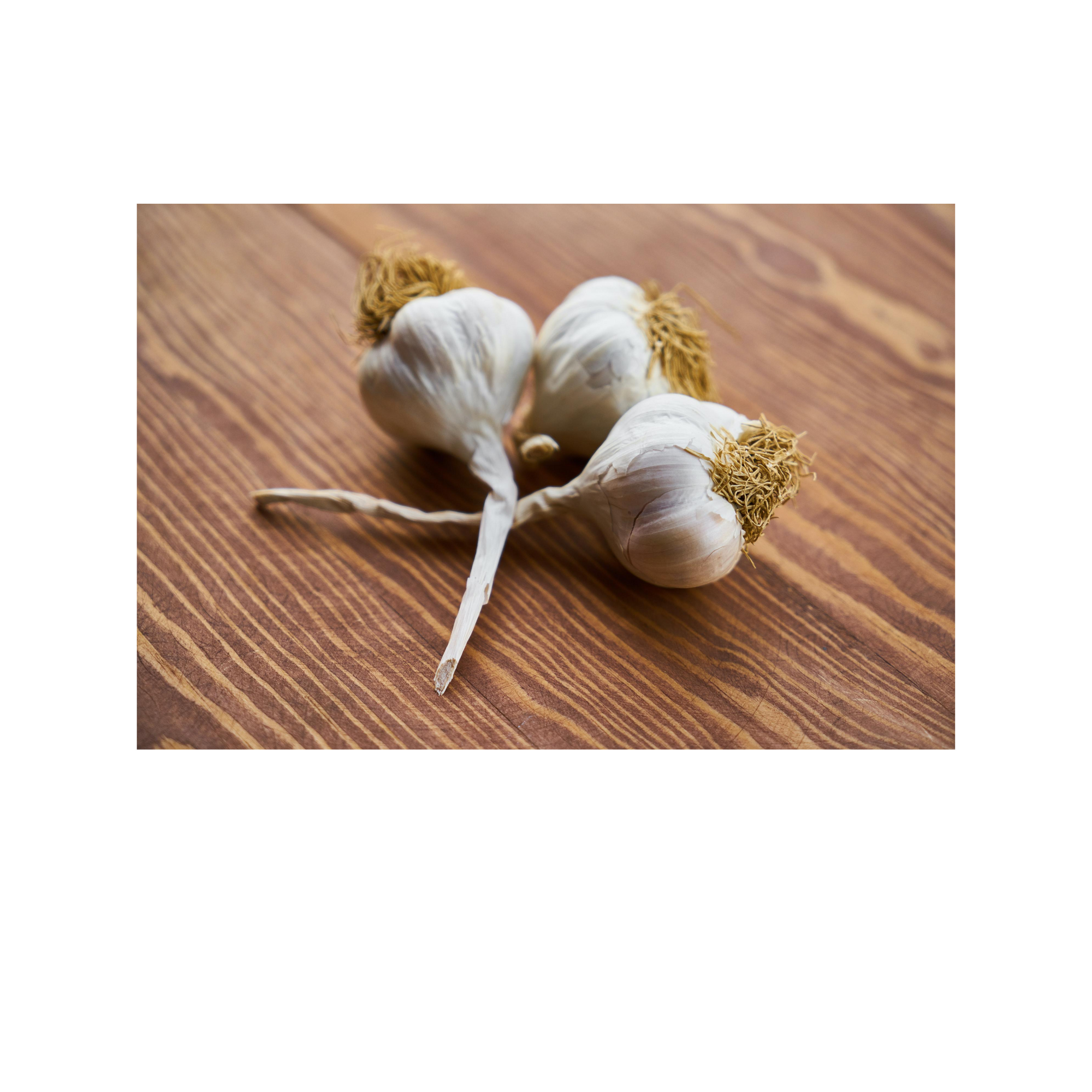 garlic, fermented garlic, gut-health, probiotics